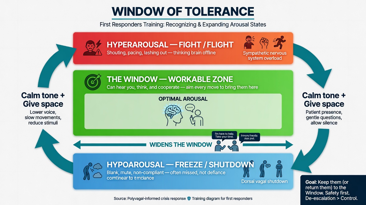 Window of Tolerance infographic for first responders training